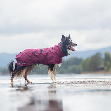 Luv Gear Puffy Dog Coat Jacket w/ColdAlert® Patch-Repel Moisture